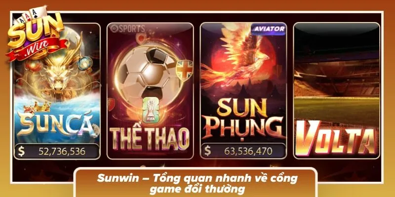 Sảnh cược nổi bật với các khu vực giải trí được sắp xếp rõ ràng